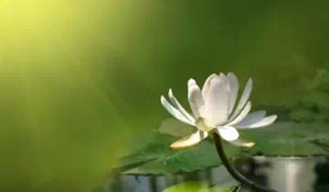 专治各种想不开（建议所有人都看一看!）