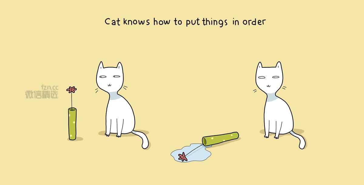 那些猫咪教会我的小事，太暖了！