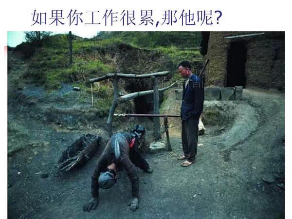 人与性的一组图片，你敢把它看完吗？