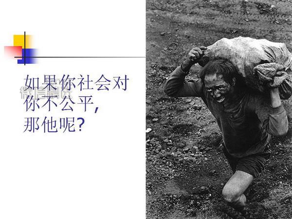 人与性的一组图片，你敢把它看完吗？