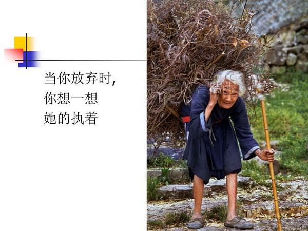 人与性的一组图片，你敢把它看完吗？