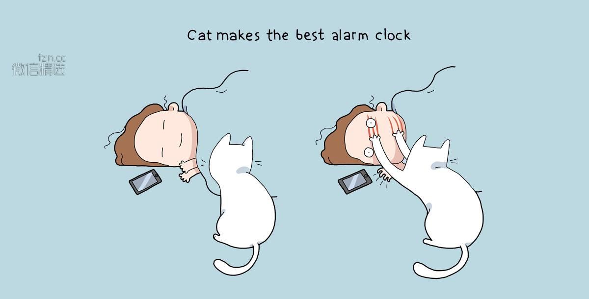 那些猫咪教会我的小事，太暖了！