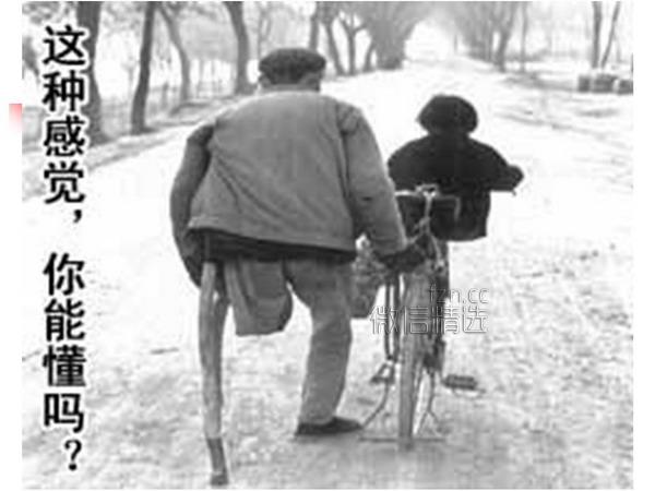 人与性的一组图片，你敢把它看完吗？