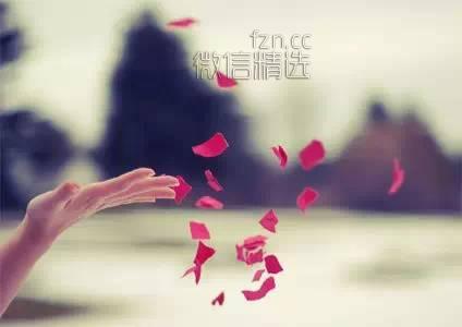 桶（我读了5遍，震撼了！）