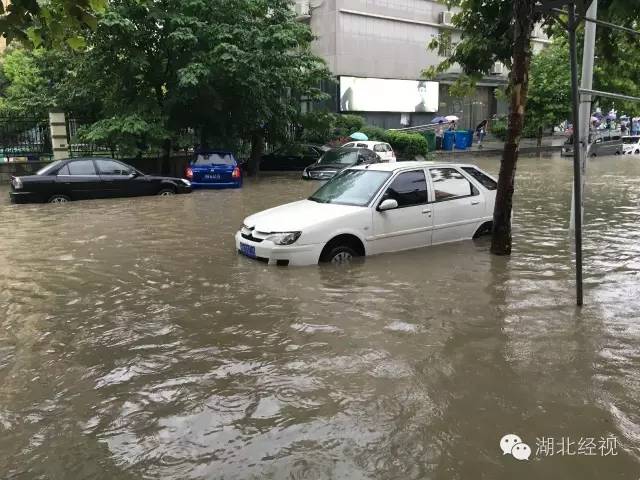 没买涉水险,保险公司照样赔钱！