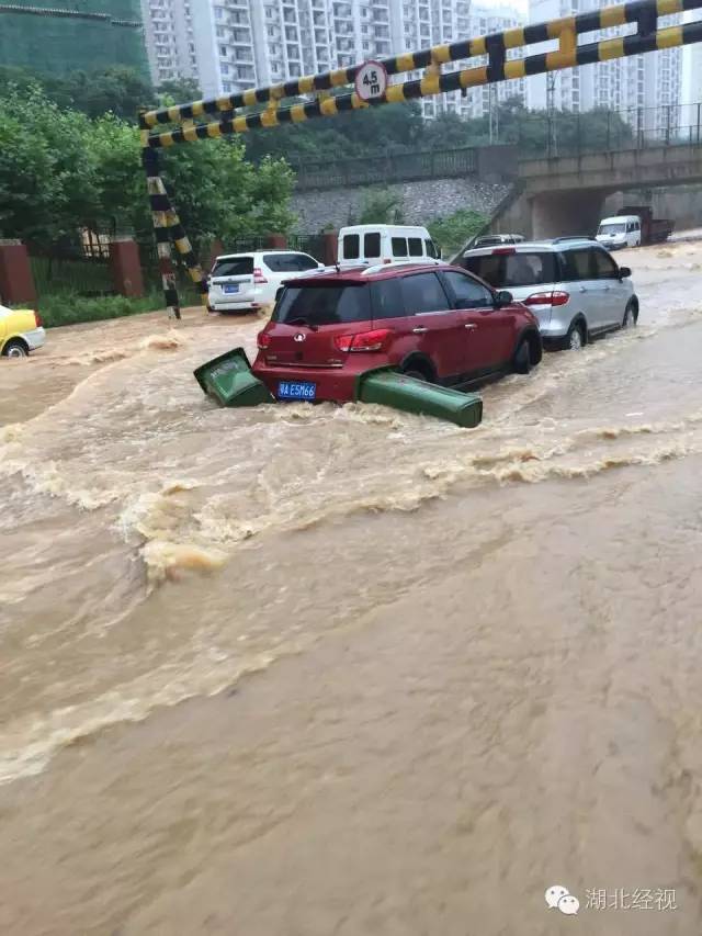 没买涉水险,保险公司照样赔钱！