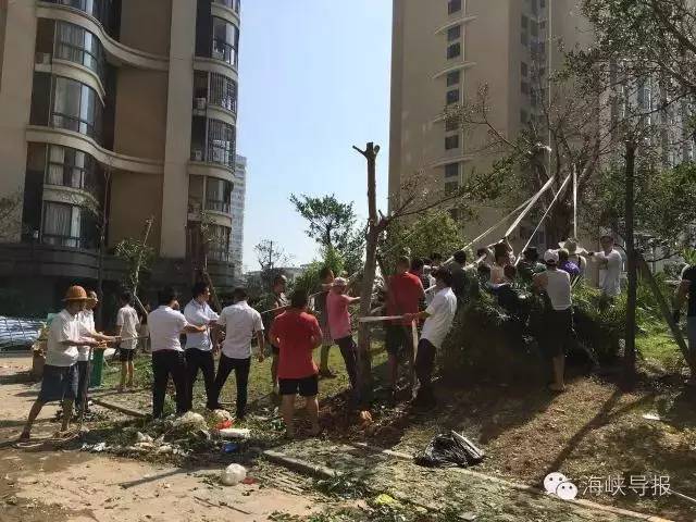 厦门速度就是这么来的！段子手都被感动了
