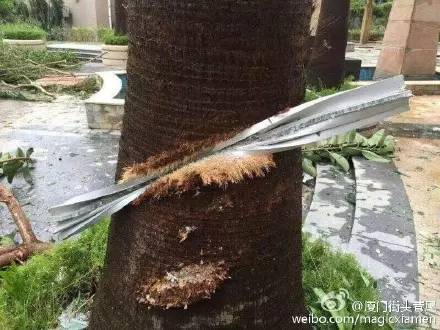 厦门速度就是这么来的！段子手都被感动了