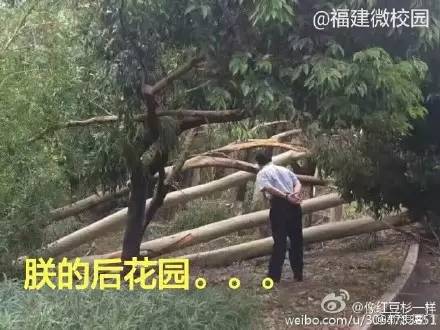 厦门速度就是这么来的！段子手都被感动了