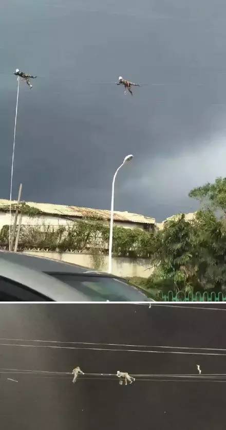 厦门速度就是这么来的！段子手都被感动了