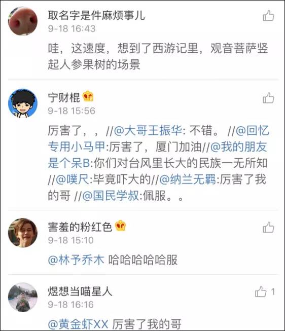 厦门速度就是这么来的！段子手都被感动了