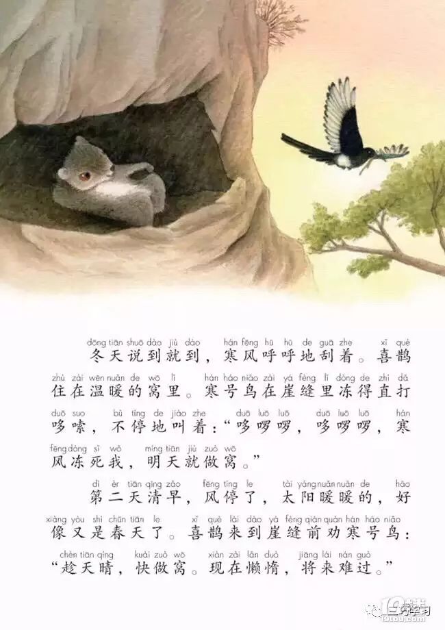 知道这货是什么吗？寒号鸟！寒号鸟根本不是鸟！感觉我读了个假小学。