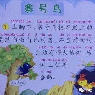 知道这货是什么吗？寒号鸟！寒号鸟根本不是鸟！感觉我读了个假小学。