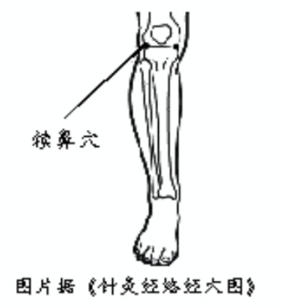 健康时报:立冬来了!立冬后养得好,来年生病少!各科医生提醒快收好! 健康时报:立冬来了!立冬后养得好,来年生病少!各科医生提醒快收好!